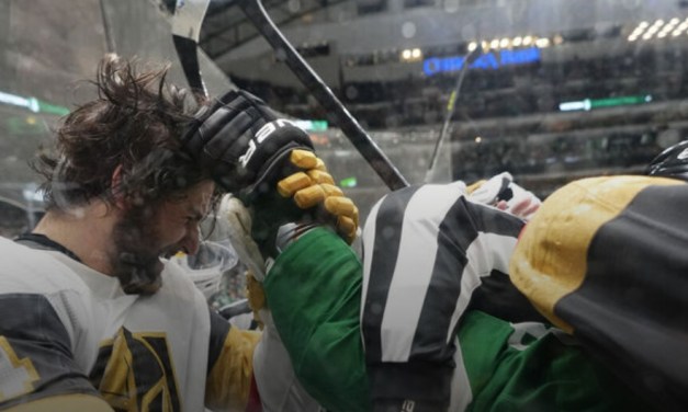 Stars CEO apologizes after fans litter ice during Game 3 loss