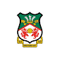 Wrexham AFC YouTube channel avatar 