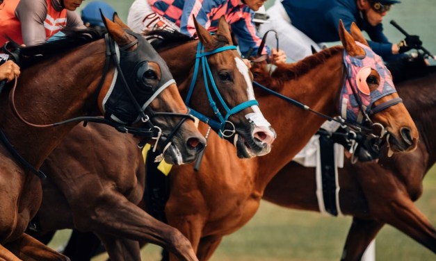 Horse Bet Calculators: Your Ultimate Guide to Betting Success